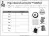 Opposites and Antonyms Teaching Resources (slide 7/10)